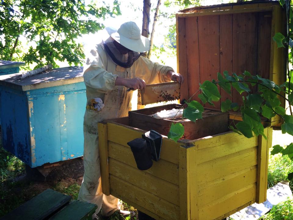 Local Beekeeper at Bee Baltic